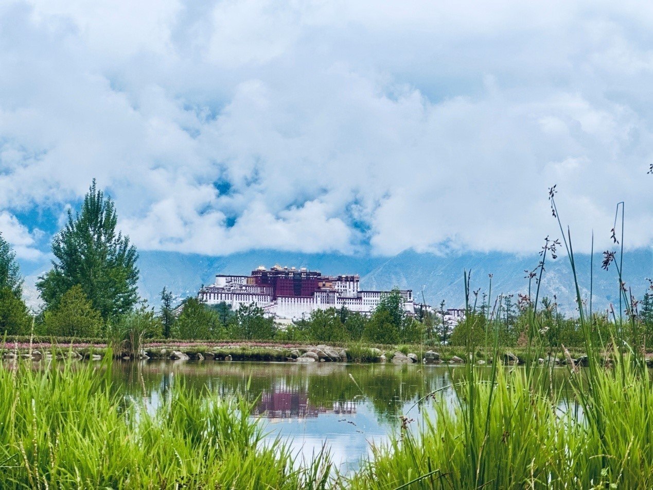 在南山公園遠(yuǎn)眺布達(dá)拉宮。人民網(wǎng)記者 益西康珠攝
